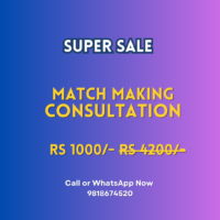 Match Making Consultation